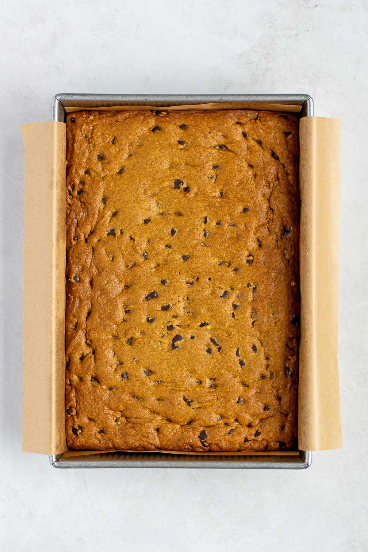 Freshly baked pumpkin chocolate chip cookie bars cooling in the pan, golden brown and dotted with melted chocolate chips.